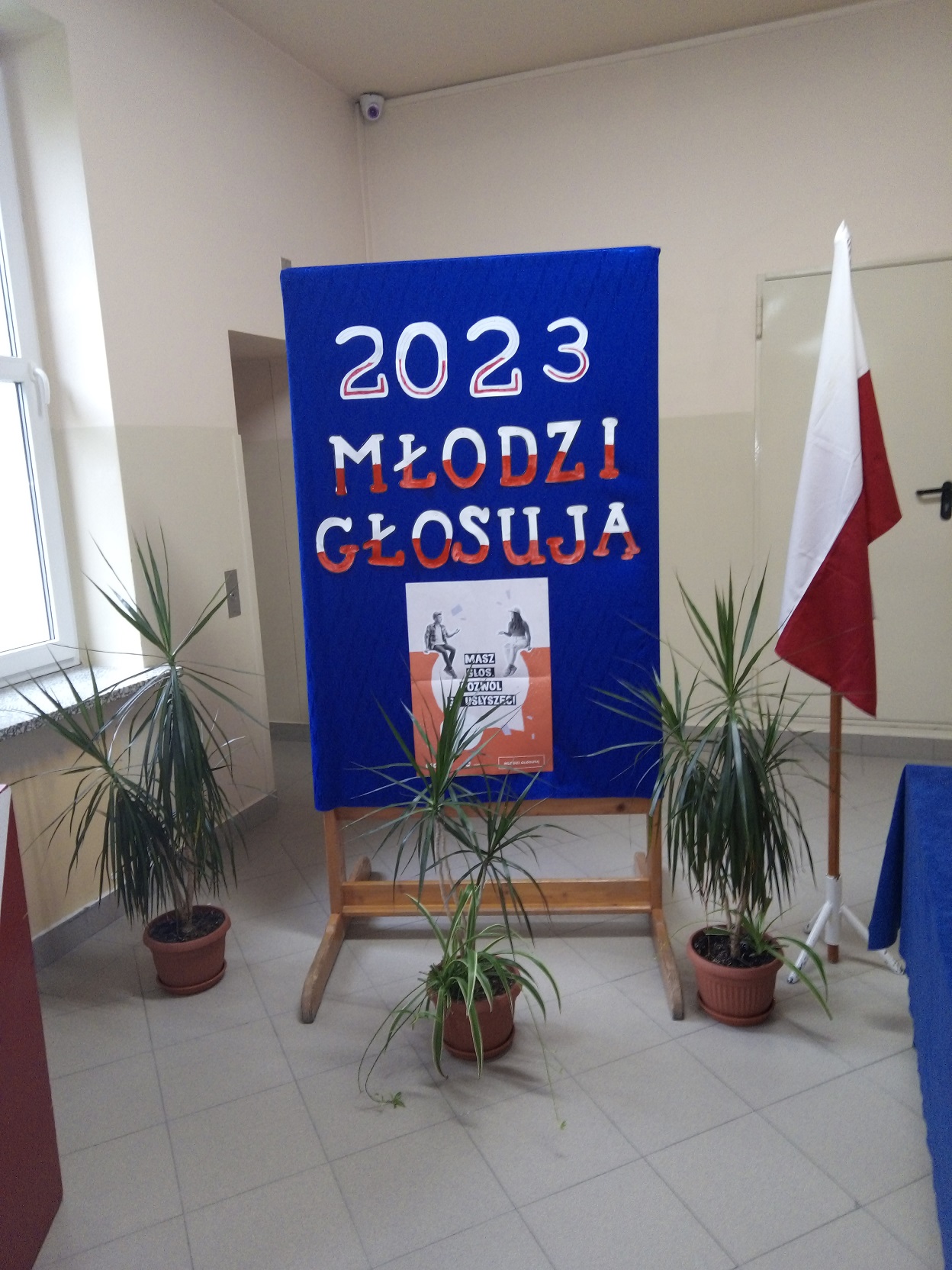 Młodzieżowe wybory parlamentarne