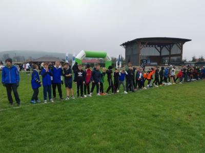 IMG_20241108_105505.jpg