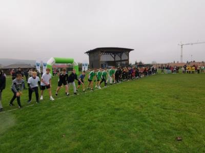 IMG_20241108_112352.jpg